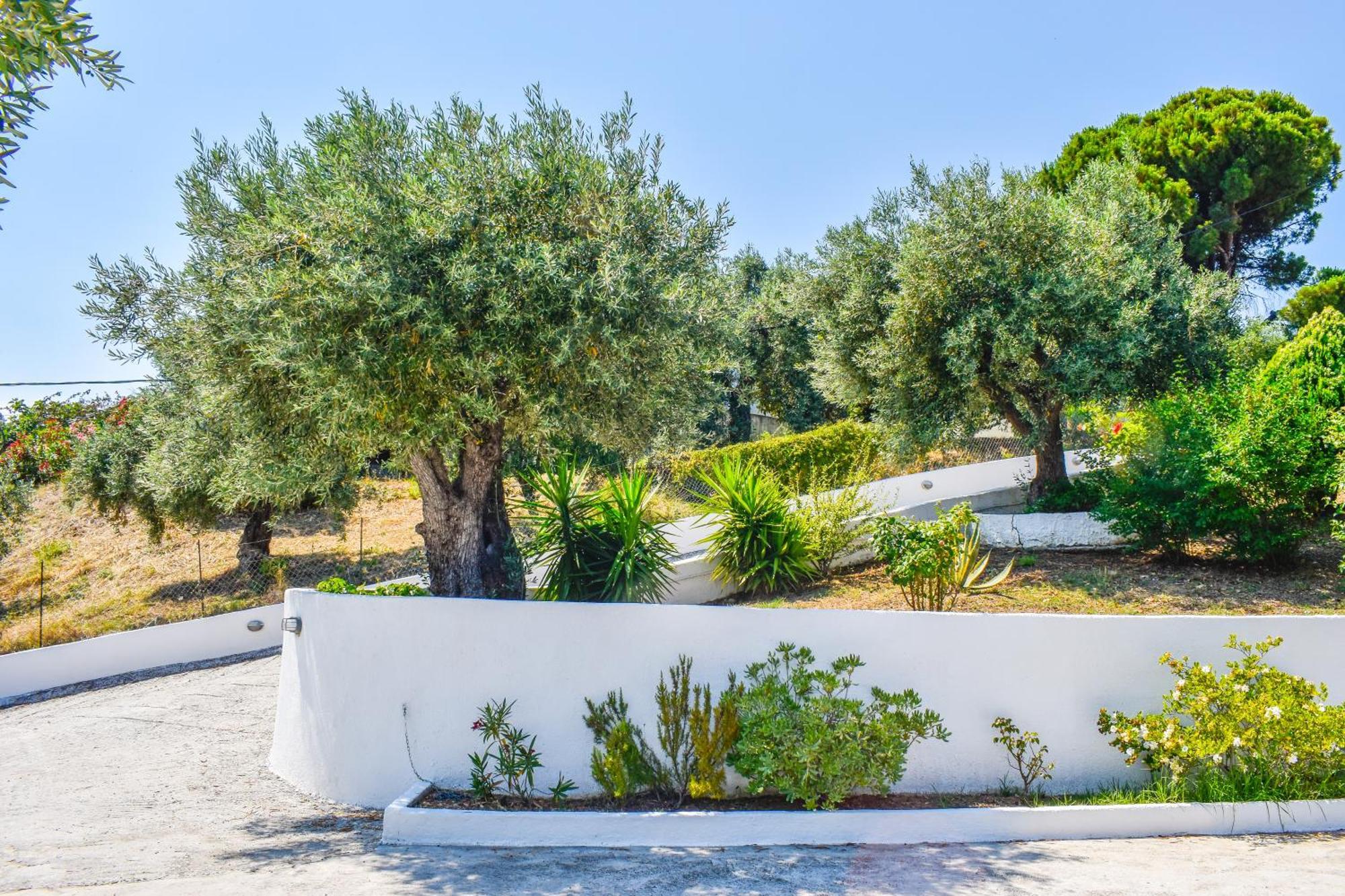Apartments Villa L&M Skiathos Kalivia  Екстериор снимка