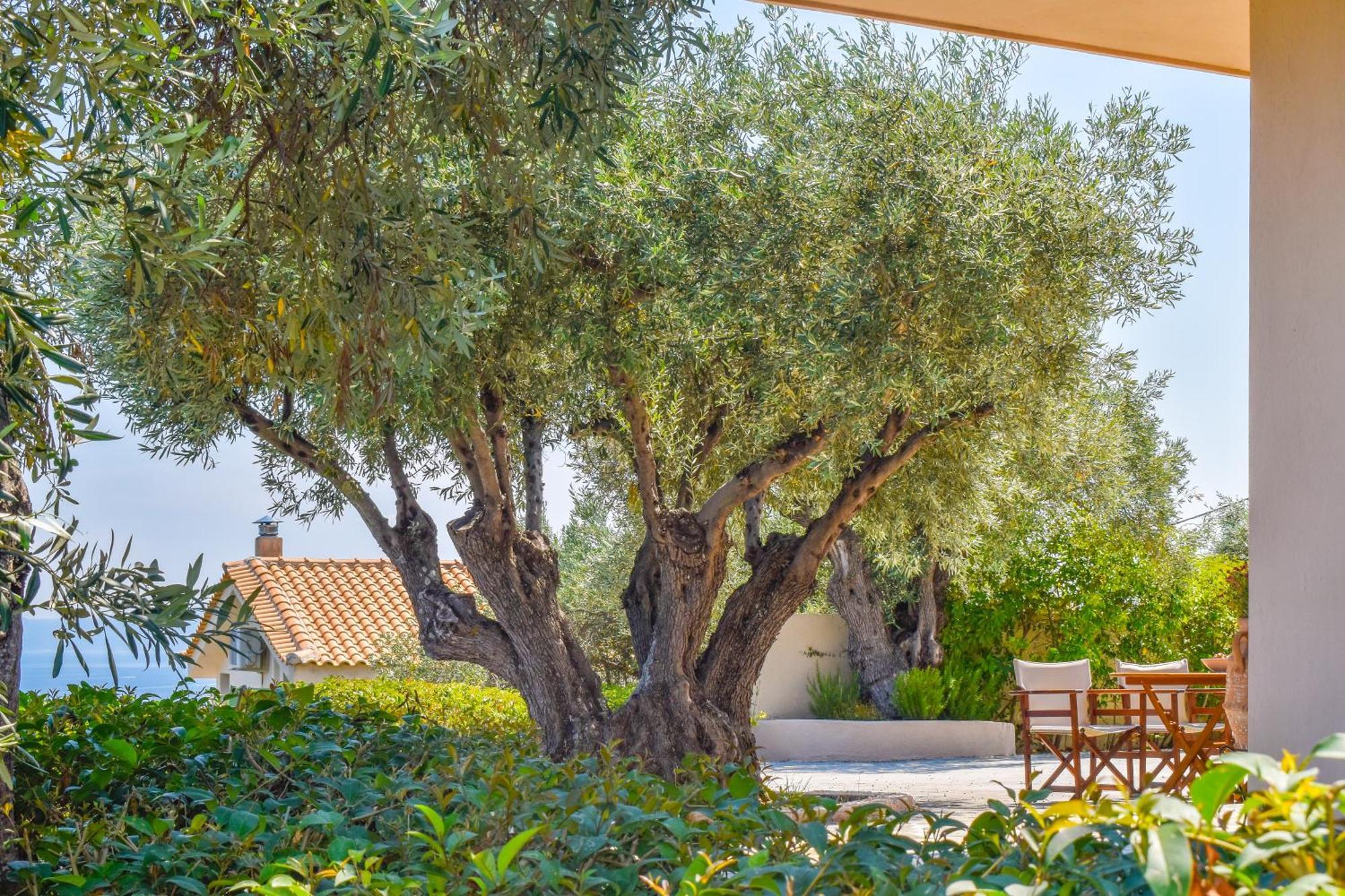 Apartments Villa L&M Skiathos Kalivia  Екстериор снимка