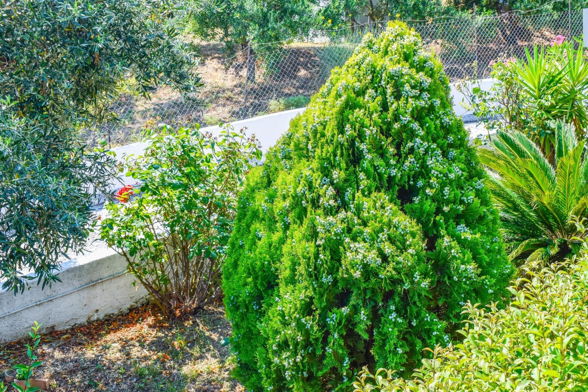 Apartments Villa L&M Skiathos Kalivia  Екстериор снимка